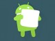 Android'in en çok kullanılan sürümü: 6.0 Marshmallow