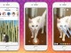 Instagram Stories'teki 24 saat zorunluluğu kaldırılıyor