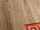 Xiaomi artık kablosuz şarj istasyonlu akıllı telefonlar üretecek