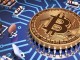 Android telefonlarda kripto para cüzdanı uygulamaları