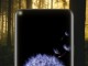 Samsung Infinity-O Ekran Ön Kamera ile Görüntülendi