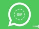 WhatsApp GIF atma işlemi nasıl yapılır?