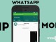 Whatsapp İçin PiP Özelliği Bulunan Yeni Güncelleme Yayınlandı