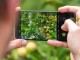 Xiaomi Mi 8, MIUI 10.1.2.0 Güncellemesi ile Gece Modu ve 960fps Slow-motion Video Desteği Kazandı