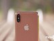 Apple iPhone X'in yeni renk seçeceğini tanıtacak