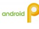 Nexus 5X ve Nexus 6P İçin Android P Güncellemesi Gelmeyecek