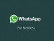 WhatsApp Business, Windows’lu telefonlara da gelecek