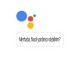 Google Asistan'a Türkçe Dil Desteği Geliyor