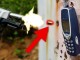 Efsane Nokia 3310'u, kurşun bile yıkamadı