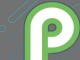 Android P için Yeni Büyüteç Özelliği Kopyalama ve Yapıştırmayı Kolaylaştırıyor