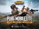 PUBG Lite Android APK yayınlandı