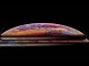 İPhone XS 5.8 inç ve 6.5 inç ile Apple Watch Series 4 Görselleri Sızdırıldı 