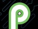 Android P çıkış tarihi artık resmi