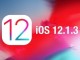 Apple, IOS 12.1.3 Güncellemesi İPhone ve iPad Modelleri için Yayınlandı