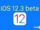 Apple, İlk iOS 12.3 Geliştirici Beta Güncellemesini Yayınladı
