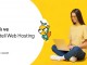 LimonHost Hizmetleri İle Sektörün Öncü İsimleri Arasında Yer Alıyor