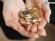 En Ucuz ve Kolay Bitcoin Alma Yöntemleri