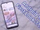 Android 12'nin İlk Ekran Görüntüleri