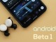Android 13 Beta 1 ile Gelen Yenilikler