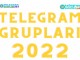 Telegram Grupları