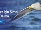 Kazakça Çeviri ve Özbekçe Türkçe Çeviri
