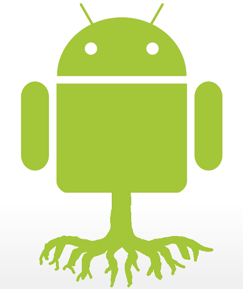 maxicep
